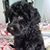 Laurie Moeglein's profile image