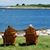 Deb Dalton Toland's profile image