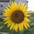 Cathy Jackson's profile image