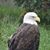 Tony Himes's profile image