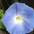 Maryann LaPlaca's profile image