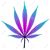 Jerry Cash's profile image