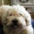 Jacquie Fowler's profile image