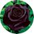 Terry L. Rankin's profile image
