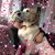 Lee Earley Bryant's profile image