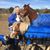 Kathleen Horne's profile image