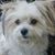 Jerry Kozak's profile image