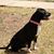 BreAnna Hope Tucker's profile image