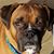 Karen Bursey Agrella's profile image