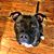 Dorothy Rodrigue McDaniel's profile image