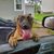 Tyson James Damisch's profile image