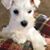 Lucy Gordon's profile image