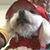 Julie Bedford's profile image
