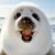Stephanie Hendges Corser's profile image