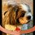 Carol Wood's profile image