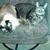 Michael J. Clark's profile image