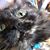 Zora Lee Poppenhouse's profile image
