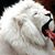 Manivannan Raj's profile image