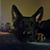 Maggie Leininger's profile image
