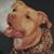 Debbie Lepine's profile image
