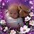 Teresa Williams's profile image