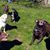 Karen Hingen's profile image