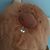 Mellissa Braus's profile image