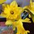 Pam Billiot's profile image