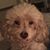 Nickie Lummus Weaver's profile image
