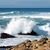 Linda Barnes Roberson's profile image