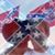 Dannon Phippins's profile image