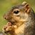 Dianna Armstrong Wilson's profile image