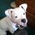Maggie Adams's profile image
