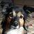 Condia Hadley's profile image