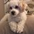 Rosalia Jimenez's profile image