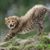 Debby Hermsen's profile image