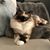 Pam Farthing's profile image