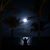 Leah Wilson Ciliberto's profile image