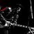 Brandon Lloyd Burkart's profile image