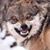 David C Gard's profile image