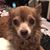 Jennifer Gustafson's profile image