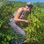 Amanda Lynn Denomme's profile image