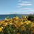 Jeanne DeGroot's profile image