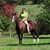 Tiffany Goldsmith's profile image