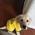 Cindy Surridge's profile image
