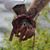 Lorraine Gray Davis's profile image
