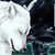 Ray Redshaw's profile image