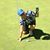 Karen Shaw's profile image