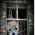 Brenda Burgardt's profile image