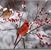 Denise Elizabeth Dougherty King's profile image